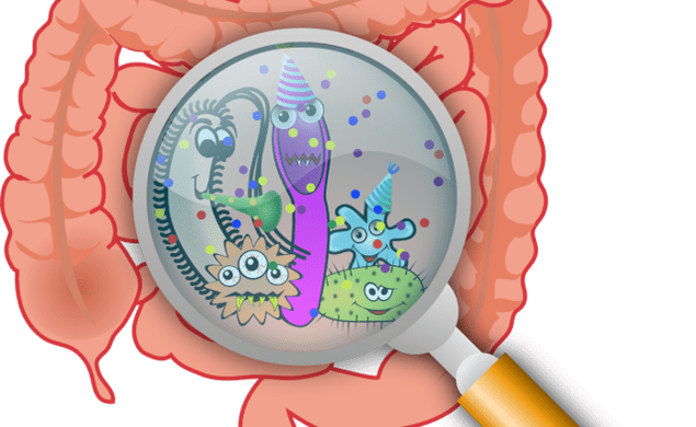 How to get rid of parasites